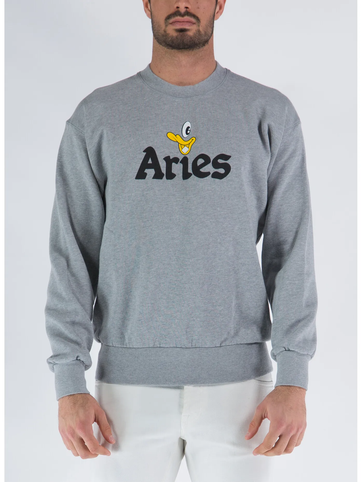     -ARIES    -FELPA AYE DUCK-