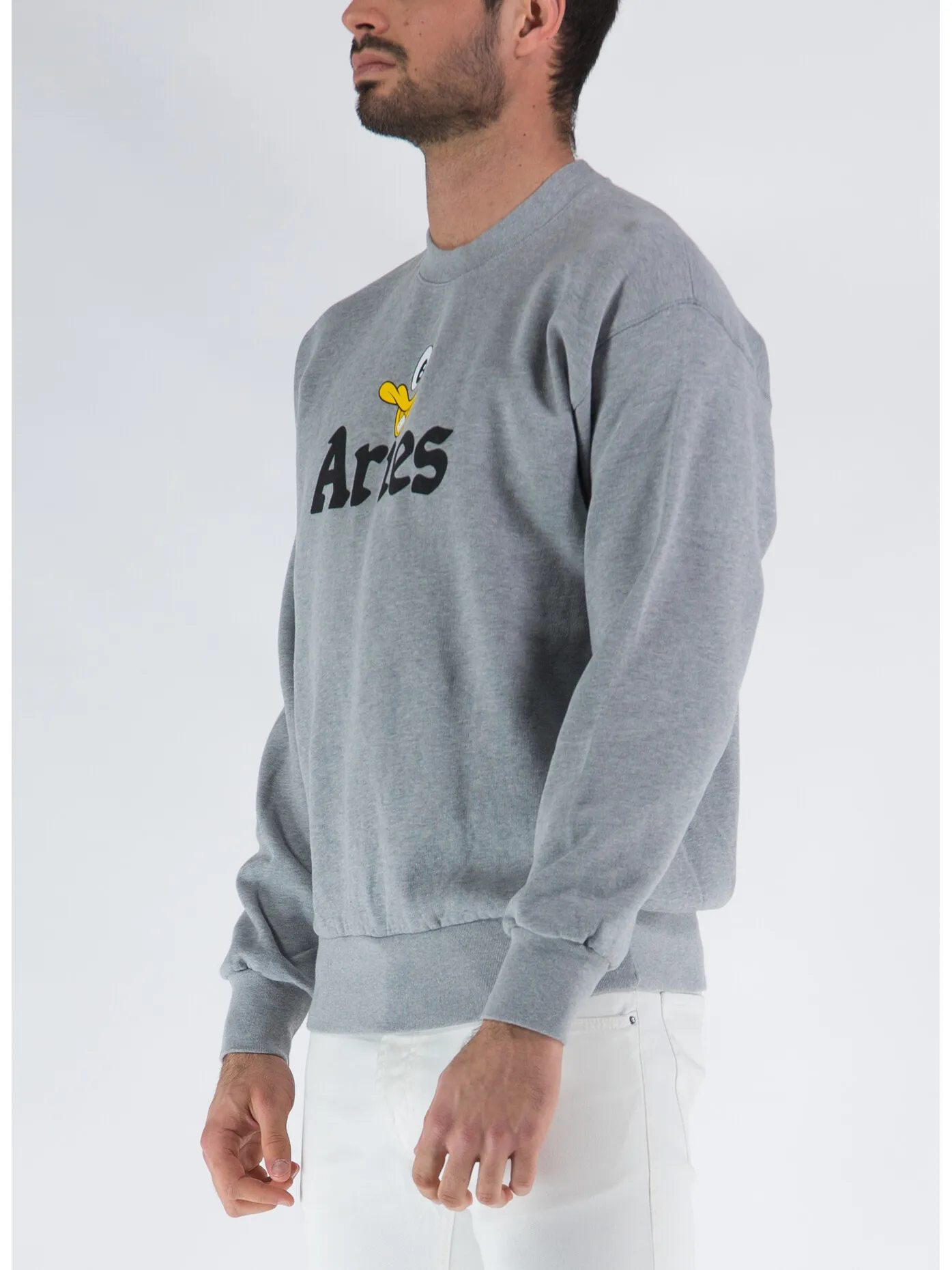     -ARIES    -FELPA AYE DUCK-
