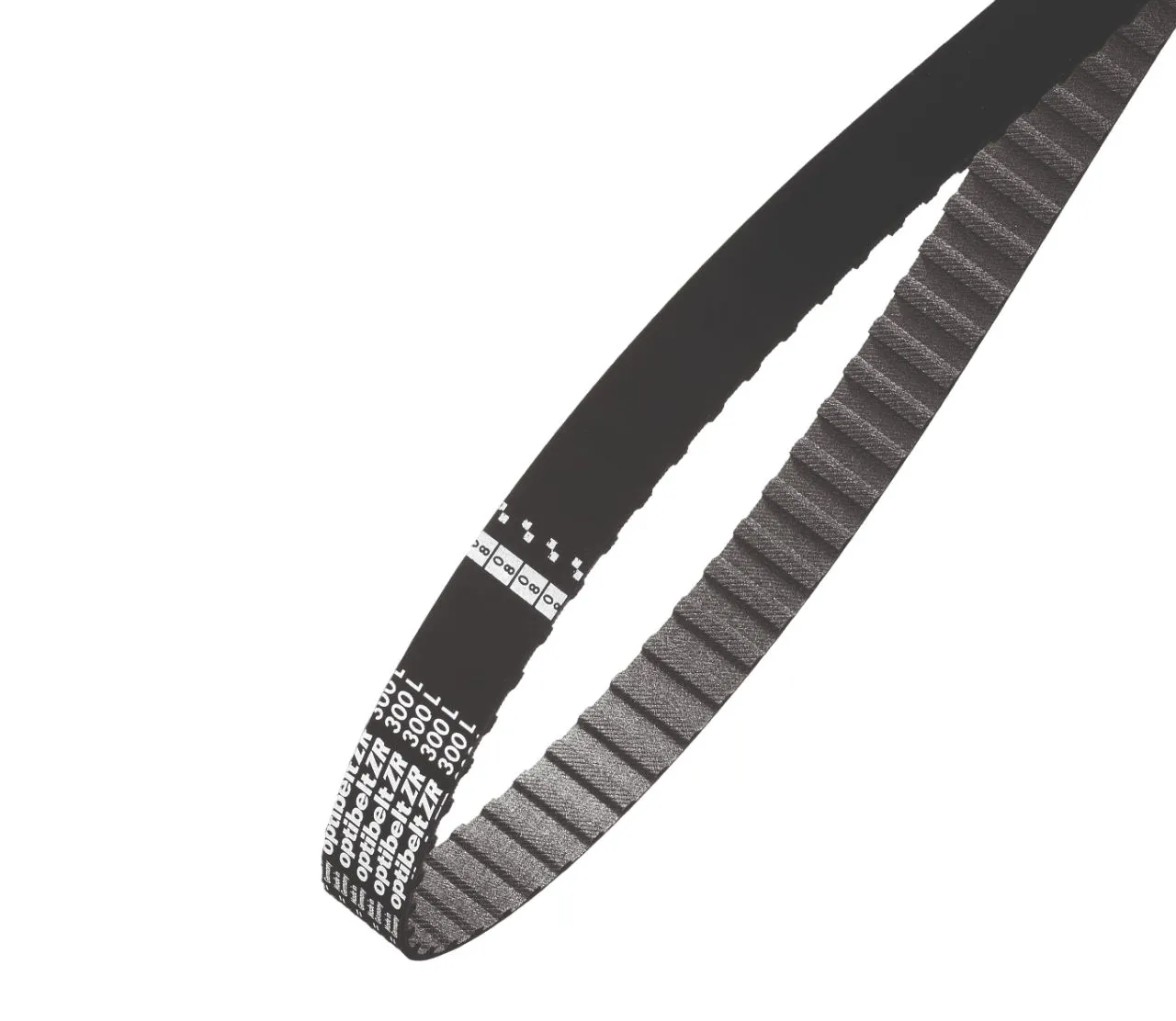 Cinghia sincrona OPTIBELT, 116 denti, passo 12.7mm, dimensioni 58poll x 2poll