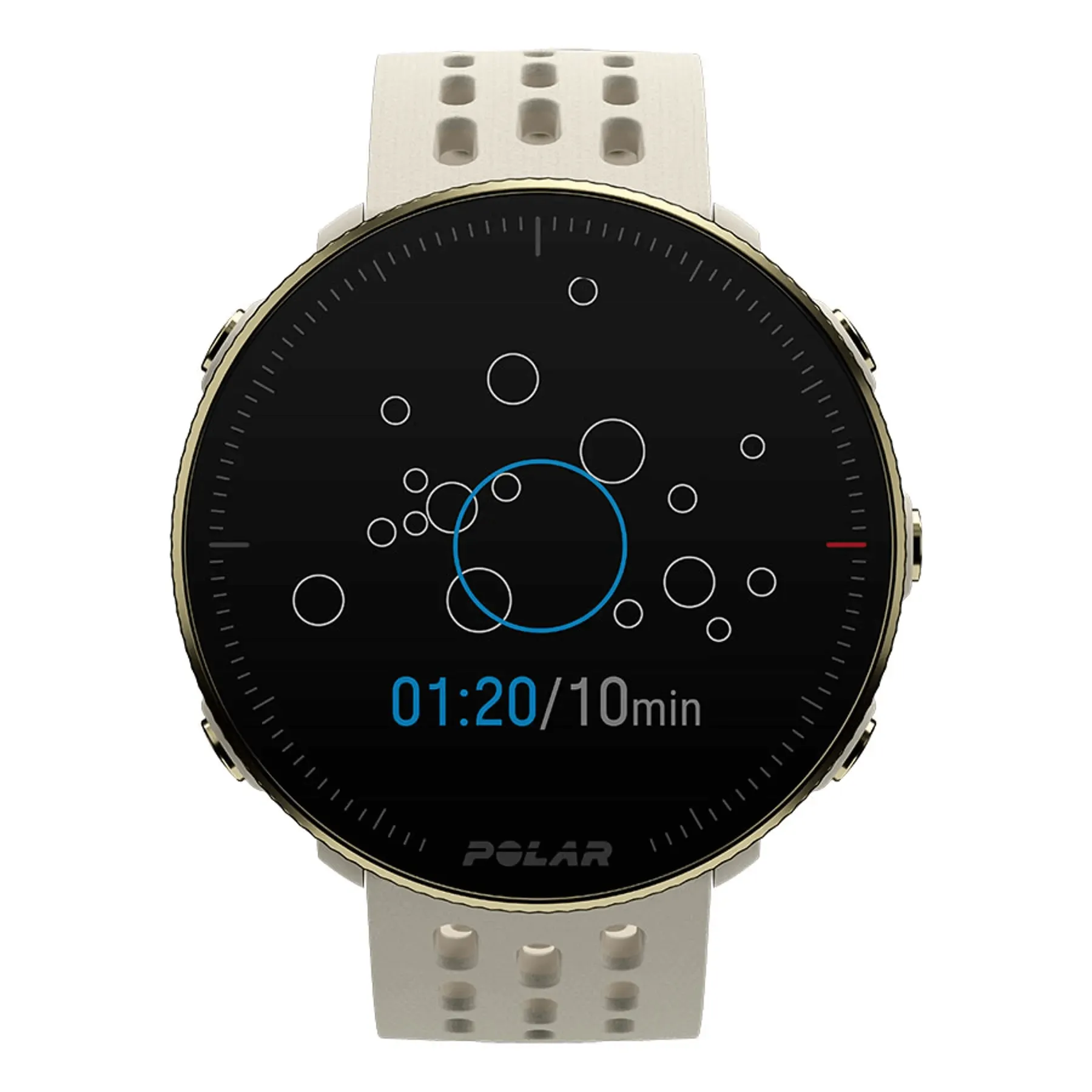 Polar Vantage M2